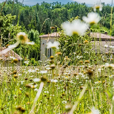 Dom wakacyjny Un Air De Famille - Maison A La Campagne Pour 10 Personnes - Piscine - Jardin - Guinguette Saint-Pierre-de-Buzet